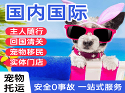 锦州锦州湾机场快运国际宠物托运 【国